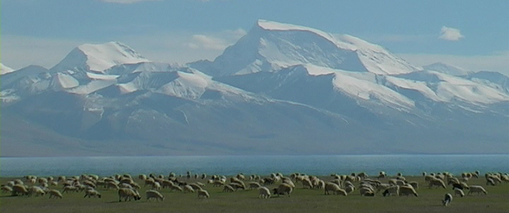 Tibet