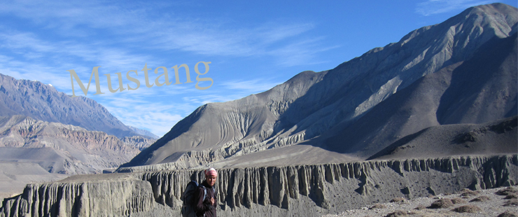 Landscape of Mustang