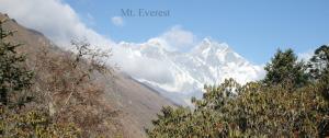 Everest View Trekking