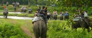 Chitwan Jungle Safari Tour