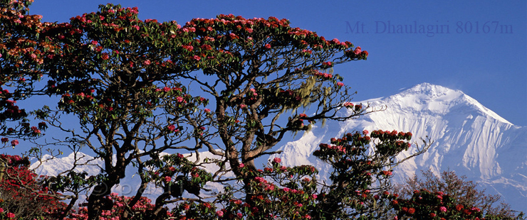 Annapurna Panorama Trekking