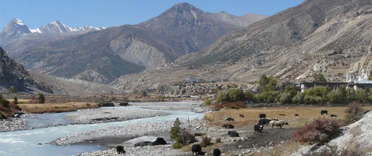 Annapurna Circuit Trekking